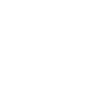 Forest Fling Rally Icon