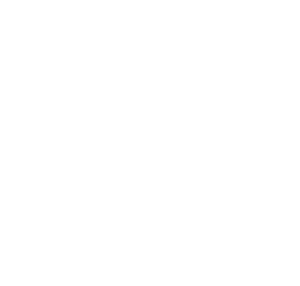 Blue Ridge Rally Icon