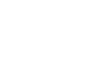Lake View Rally 2022 Icon