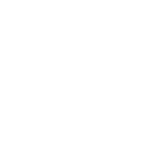 Mountain Lake Rally 2022 Icon